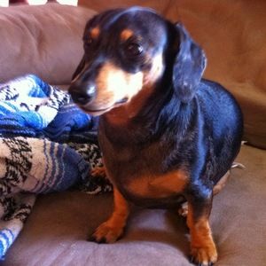 Meet your Posher, Becky